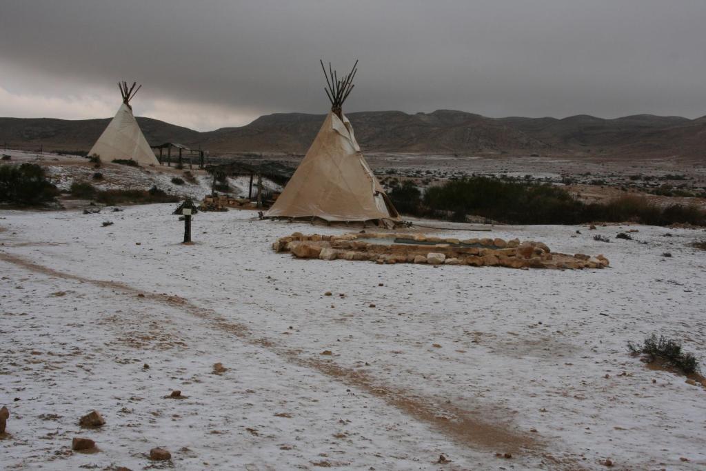 Desert Olive Farm Hotel Sede Boqer Buitenkant foto