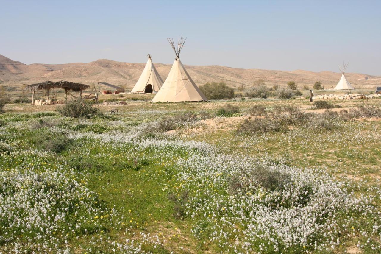 Desert Olive Farm Hotel Sede Boqer Kamer foto